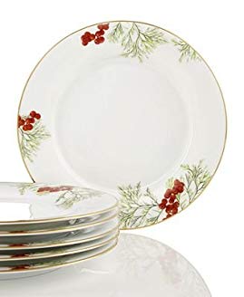 Charter Club Red Berry Set Of 6 Dinner Plates