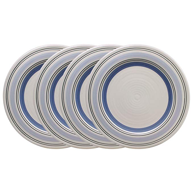  Pfaltzgraff Rio Dinner Plate (11-Inch, Set of 4)