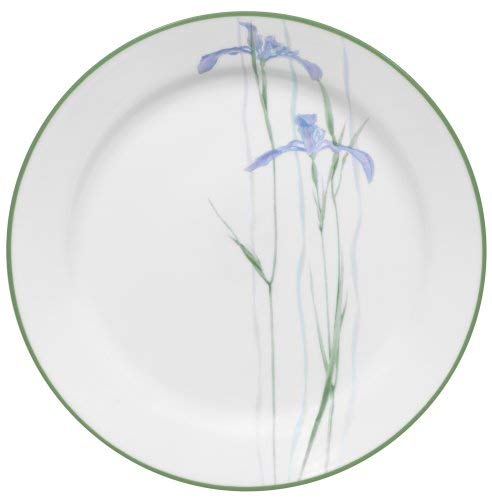 Corelle Impressions 10-1/4-Inch Dinner Plate, Shadow Iris